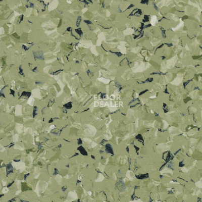 Линолеум Tarkett iq Toro Sc GREEN 0576 фото 1 | FLOORDEALER